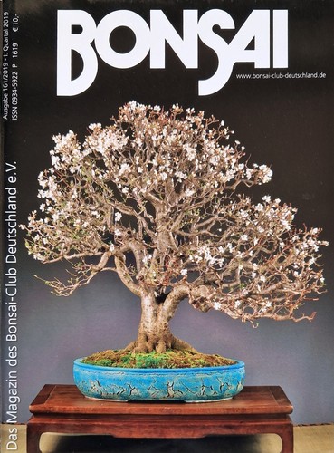 Bonsai club heft 161 i - bonsai-club-heft, nr.