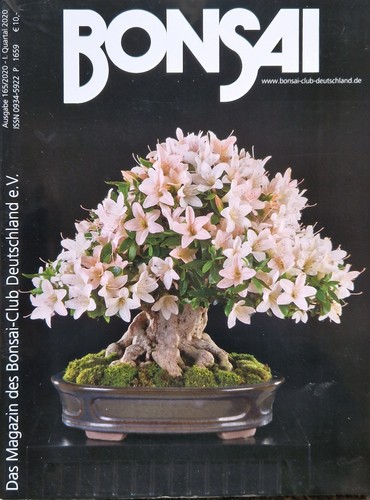 Bonsai club heft 165 i - -,