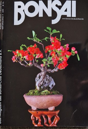 Bonsai club heft - nr., i
