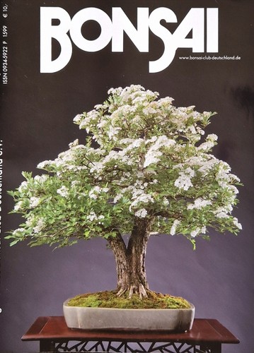 Bonsai club heft 154 - bonsai-club-heft,