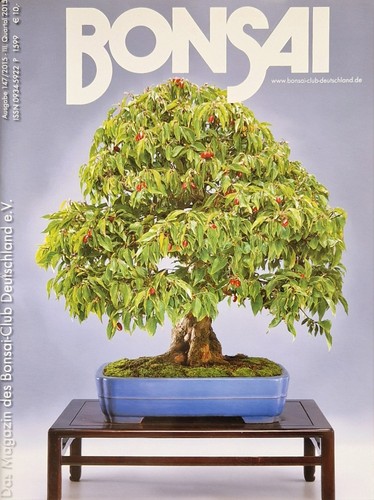 Bonsai club heft 147 - bonsai-club-heft, nr.